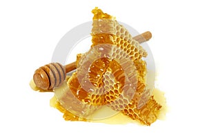 Honeycomb and curative propolis isolated on white background. Wild bee honey
