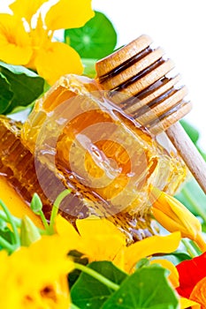 Honeycomb, dipper and flowers