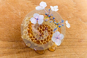 Honeycomb and flowers