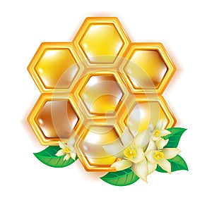 Honeycomb with flowers