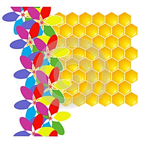 Honeycomb and flowers.