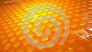 Honeycomb with flowing honey