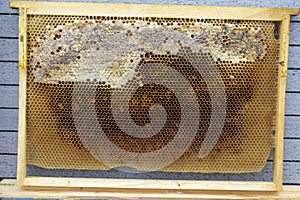 Honeycomb frame for a beehive