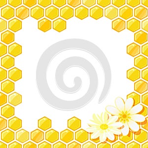 Honeycomb Frame with Flower