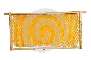 Honeycomb frame with honey on a white background