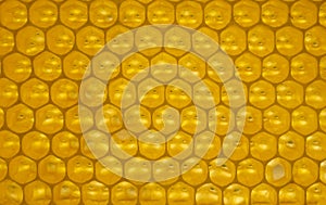 Honeycomb. Geometric, closeup. Yellow Honey cells texture background. Concept of beekeeping