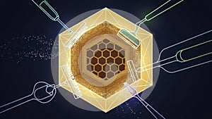 Honeycomb in Golden Hexagonal Container