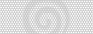 Honeycomb hexagon pattern. Vector isolated texture. Comb texture design. Vector hexagonal cell texture