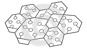 Honeycomb Hexagonal Pattern, Natural Design, Geometric Background vector design Generative AI