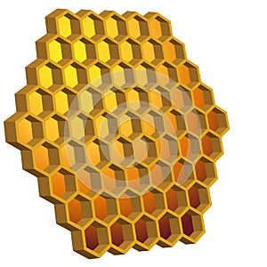 Honeycomb Hive