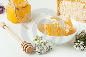 Honeycomb with honey deeper and wild flowers