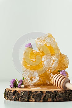 Honeycomb with honey deeper and wild flowers