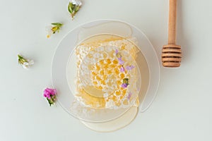 Honeycomb with honey deeper and wild flowers on the white background