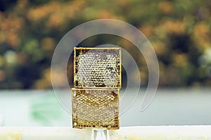 Honeycomb with honey, wax structures in wooden frame