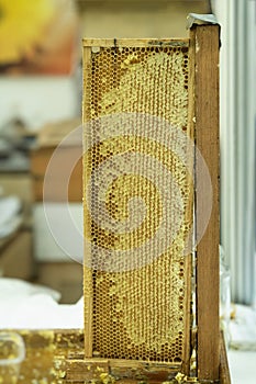 Honeycomb with honey, wax structures in wooden frame close-up