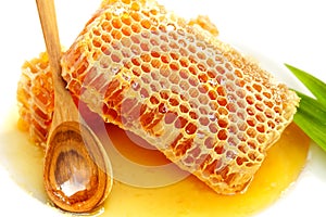 honeycomb with honey on the white.