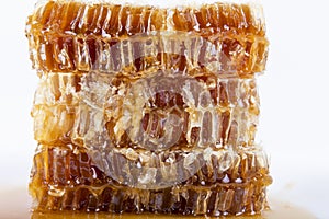 Honeycomb with honey on a white background