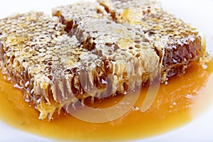 Honeycomb with honey on a white background