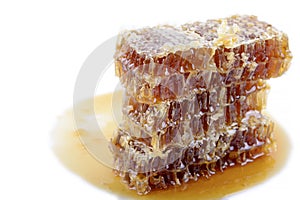 Honeycomb with honey on a white background