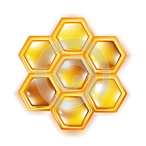 Honeycomb isolated on white