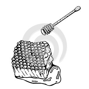 Honeycomb isolated on a white background. Beeswax. honey dipper .Hand-drawn vector illustration