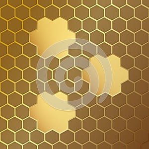 Honeycomb pattern with frames. Vector illustration.Hexagonal cell texture. Geometric design. Modern stylish abstract texture. Temp