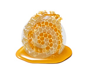 Honeycomb piece. Honey slice isolated on white background