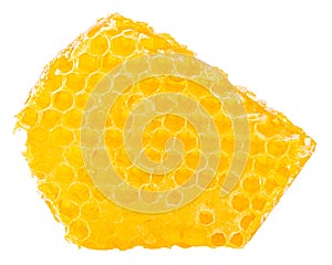 Honeycomb piece. Honey slice isolated on white background