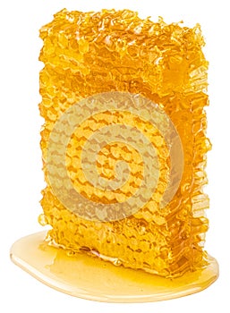 Honeycomb piece. Honey slice isolated on white background with clipping path