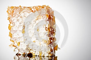 Honeycomb piece. Honey slice on white background. Package design element