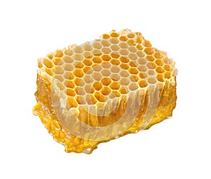 Honeycomb piece isolated on white background