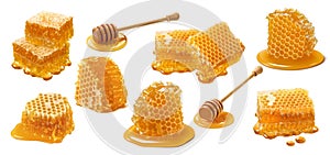 Honeycomb set isolated on white background. Wooden honey dippers