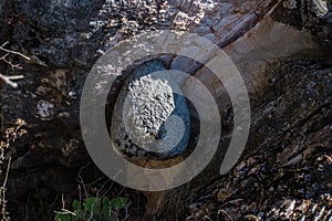 A Honeycomb in the Sierra de ÃÂlvarez