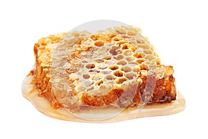 Honeycomb slice closeup