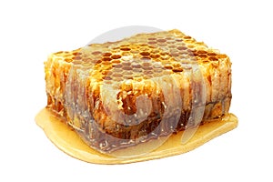 Honeycomb slice closeup