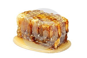 Honeycomb slice closeup