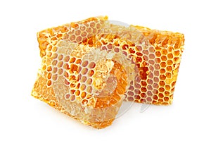 Honeycomb slice closeup on white