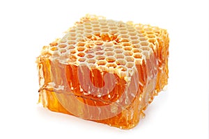 Honeycomb slice closeup on white