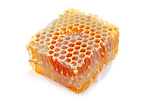 Honeycomb slice closeup on white