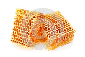 Honeycomb slice closeup on white