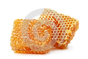 Honeycomb slice closeup on white