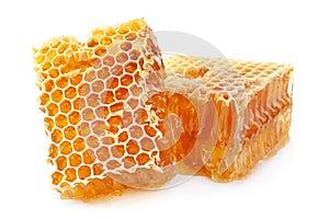 Honeycomb slice closeup on white