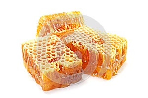 Honeycomb slice closeup on white