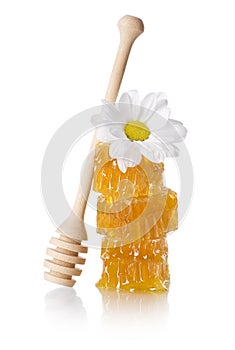 Honeycomb slice with honey dipper