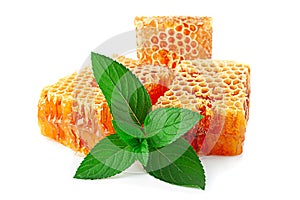 Honeycomb slice with mint