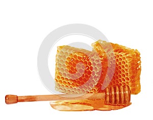 Honeycomb  and wooden dipper isolated on white background. Organic yellow honey closeup