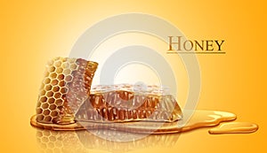 Honeycomb and sweet pure honey