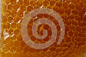 Honeycomb Texture