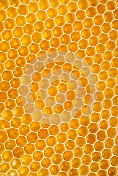 Honeycomb texture for natural background