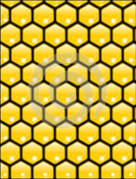 Honeycomb texture vector